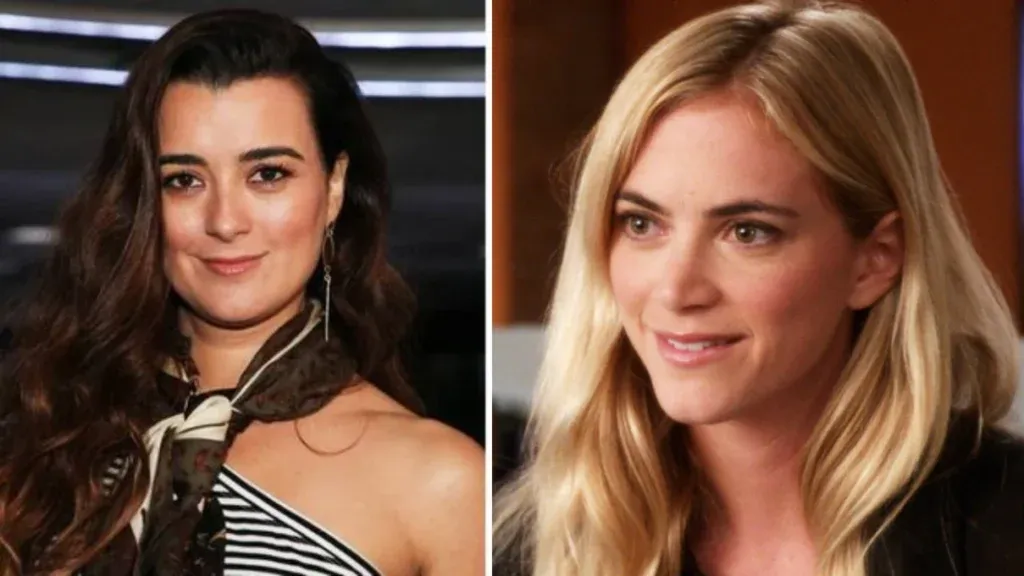 Shocking Revelation Emily Wickershams Surprising Exit From Ncis What Really Happened 